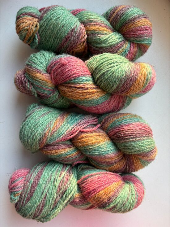 Pāces vienkārtīgā krāsainā aitas vilna